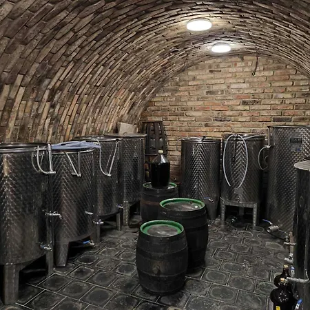 Bara Jizni Morava Breclav Hodonin 홈스테이 Prušánky